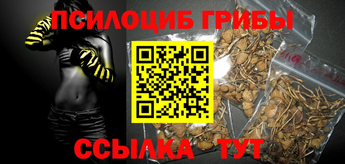 ГАШ  Вход с VPN  Альфа ПВП СК   Меф   Cocaine  Купить наркотики  Миллерово  Бошки Шишки 