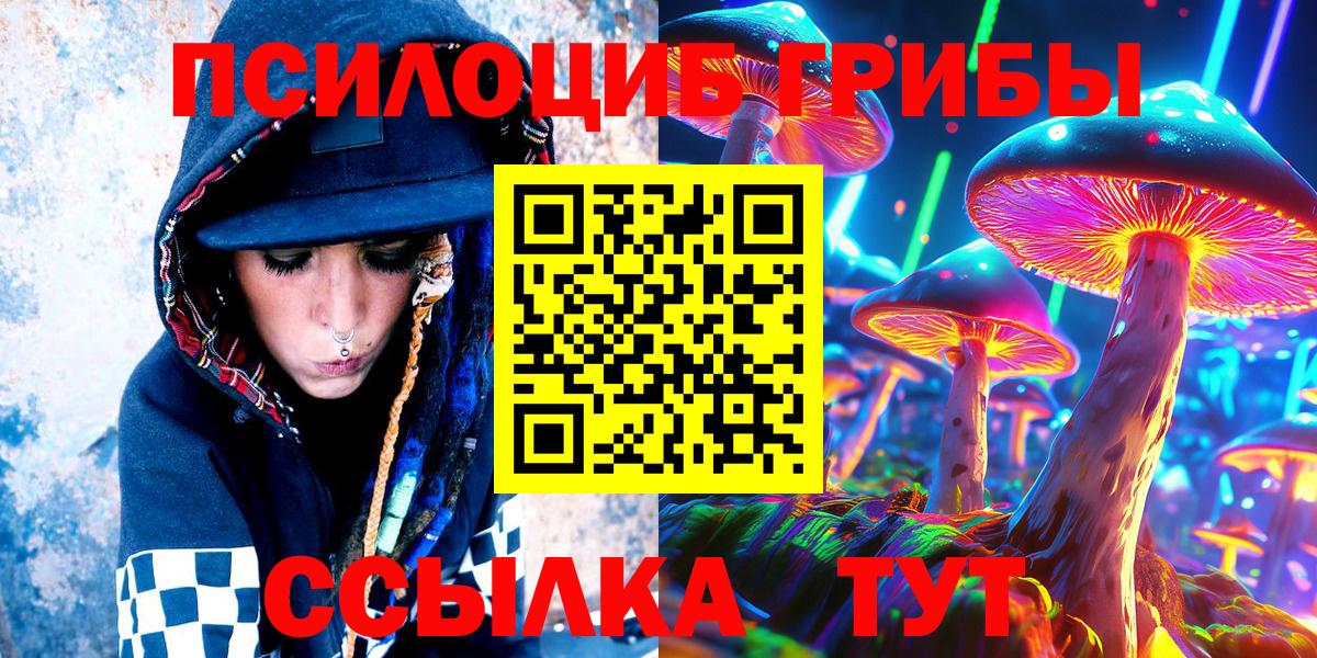 Миллерово  Галлюциногенные грибы Cubensis  Вход с VPN 